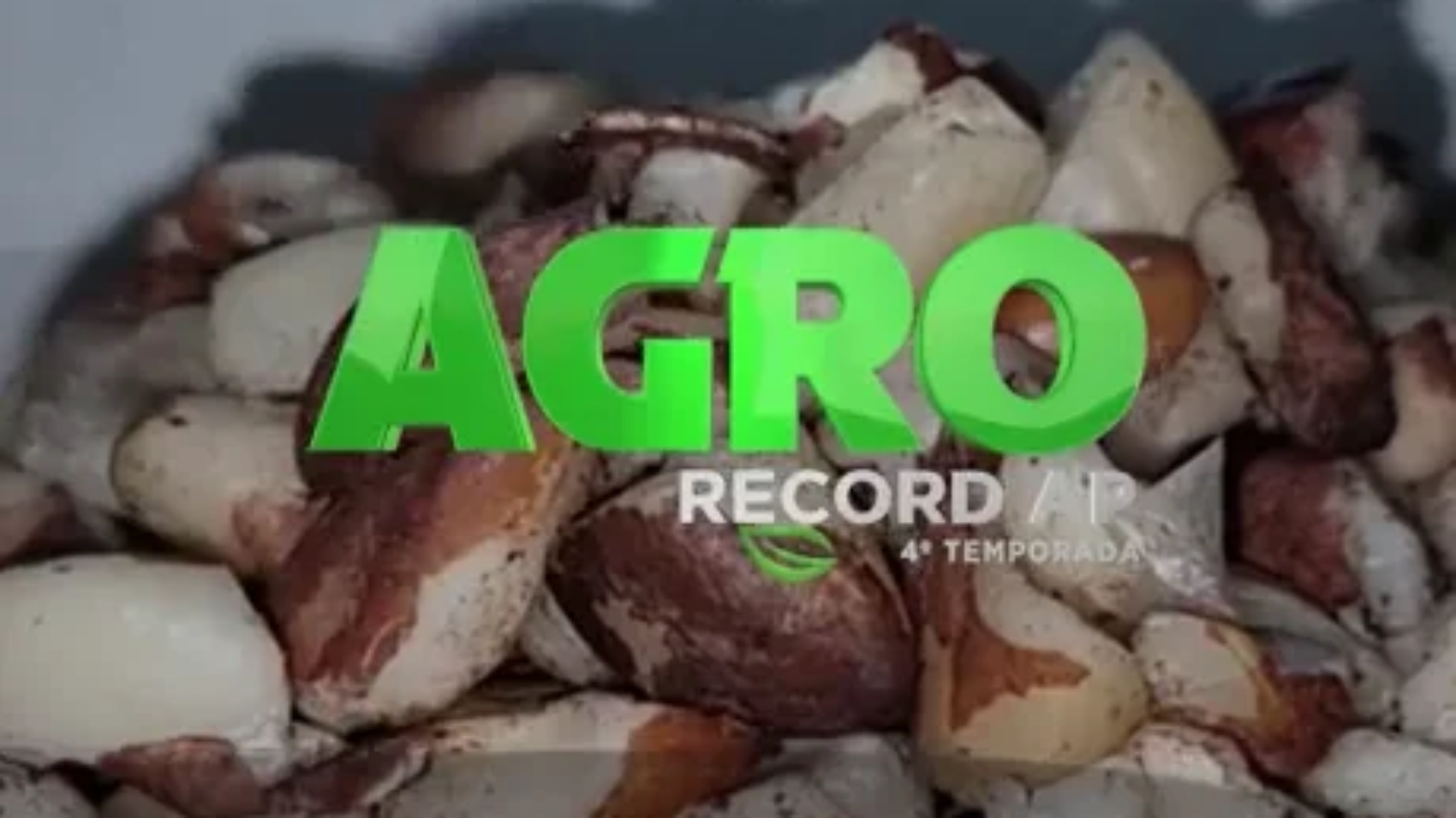 capa-agrorecord2